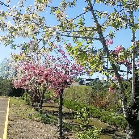 Pepper Tree Inn Бівертон Екстер'єр фото